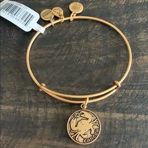 ⚙️TARNISHED ALEX AND ANI⚙️